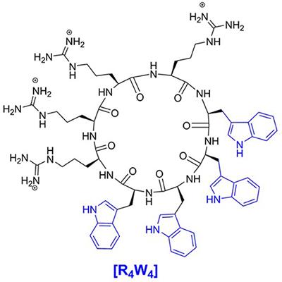 Cyclic Peptide [R4W4] in Improving the Ability of First-Line Antibiotics to Inhibit Mycobacterium tuberculosis Inside in vitro Human Granulomas